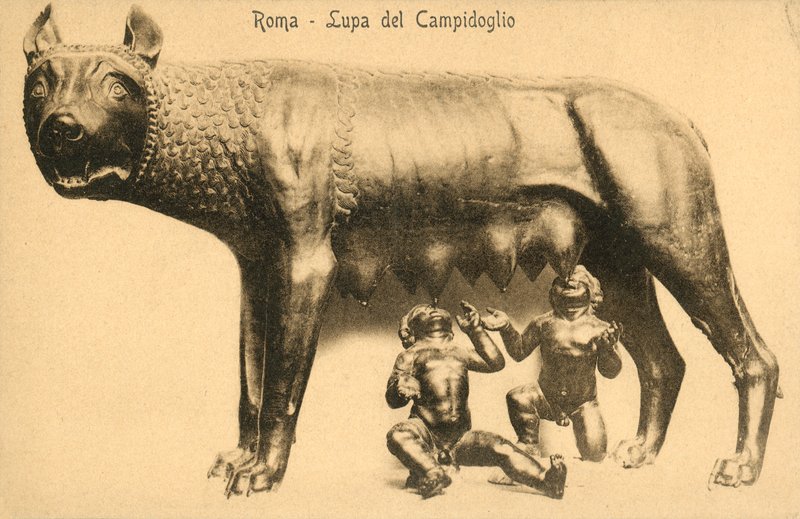 Rzym, wilk Campidoglio autorstwa Italian Photographer