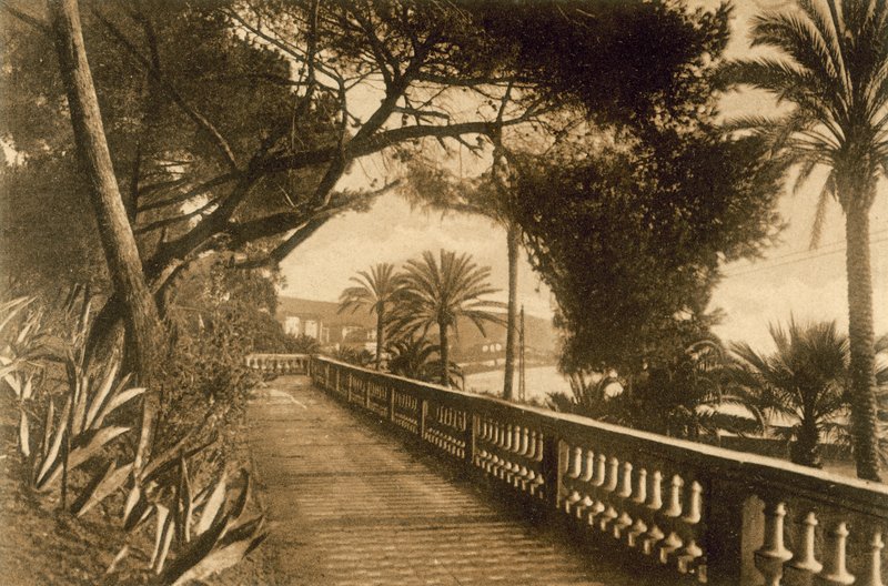 San Remo, Giardini (zdjęcie czarno-białe) autorstwa Italian Photographer