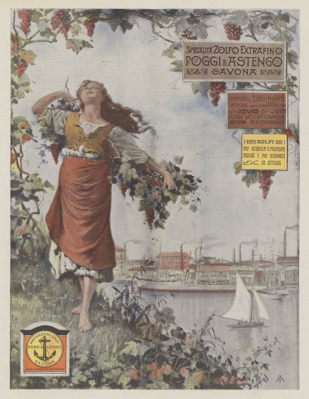 Poggi  Astengo (druk kolorowy) autorstwa Italian School