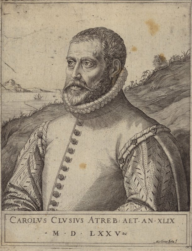 Portret Carolusa Clusiusa autorstwa Italian School