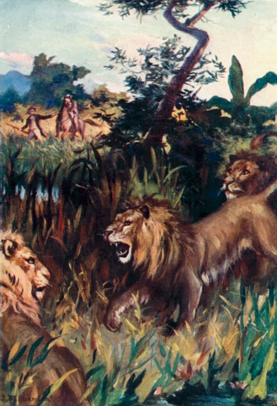 Park Mungo, Częste niebezpieczeństwo autorstwa J. Williamson