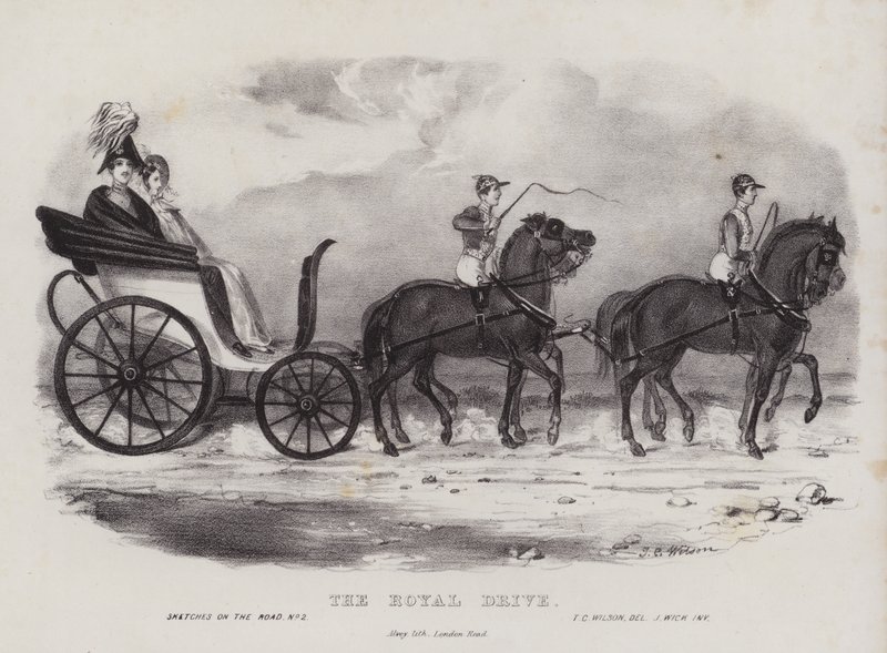The Royal Drive autorstwa J.C. Wilson