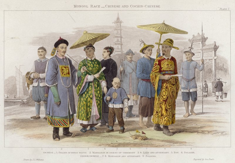 Rasa mongolska, chińska i kocziński (kolorowy grawerunek) autorstwa J.L. (after) Williams