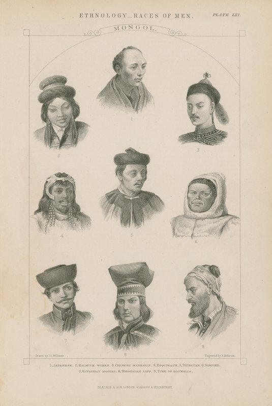 Dziewięć twarzy różnych ras mongolskich autorstwa J.L. Williams
