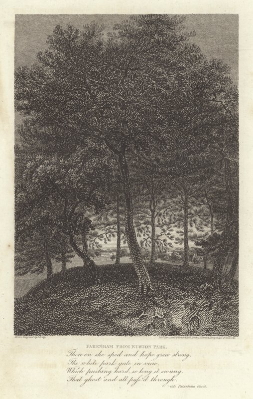 Robert Bloomfield, poeta: Fakenham z Euston Park (grafika) autorstwa J. Greig