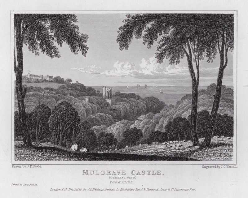 Zamek Mulgrave, widok ogólny, Yorkshire (grawerowanie) autorstwa John Preston Neale