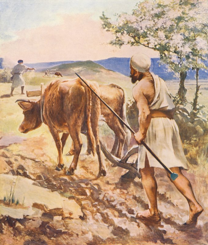 Ziemia Święta: Orka w pobliżu Nazaretu (kolorowa litografia) autorstwa James (after) Clark