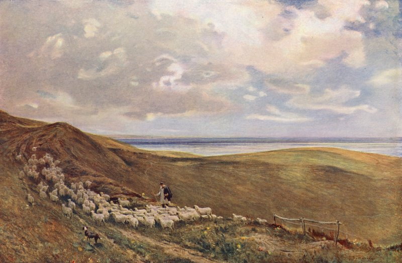 Na South Downs w pobliżu Brighton (kolorowa litografia) autorstwa James Aumonier