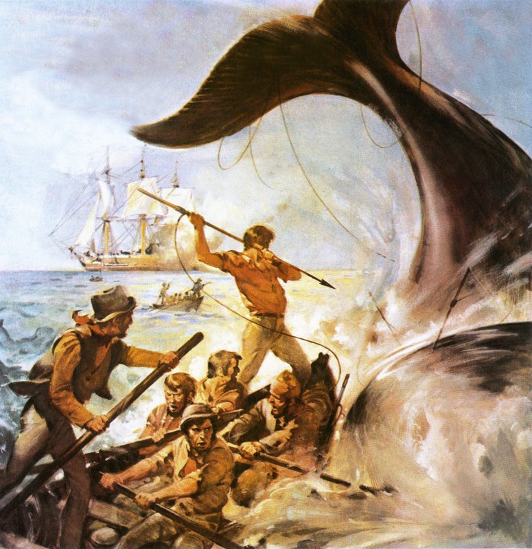 Peter the Whaler autorstwa James Edwin McConnell