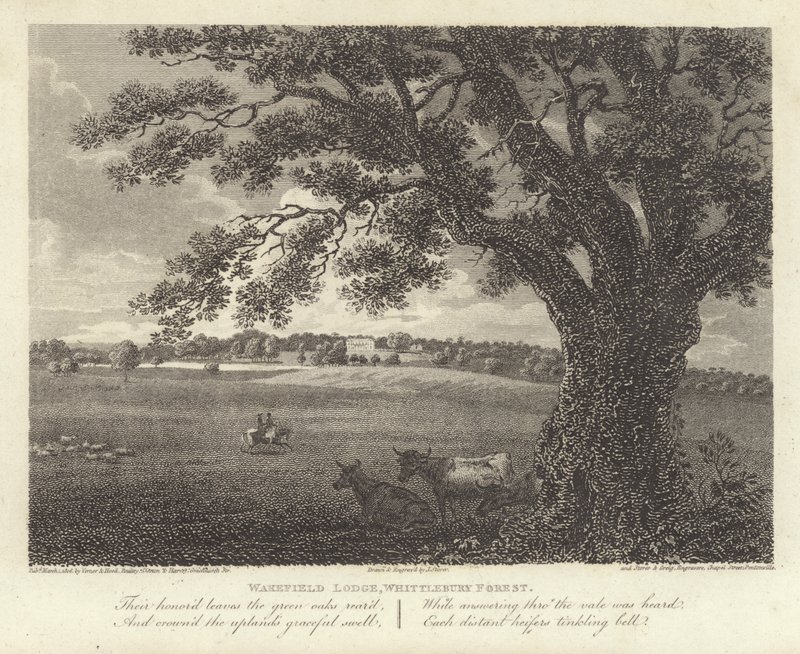 Robert Bloomfield, poeta: Wakefield Lodge, Whittlebury Forest (grafika) autorstwa James Storer