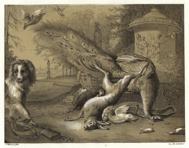 Martwa natura z pawiem i psem autorstwa Jan Baptist Weenix