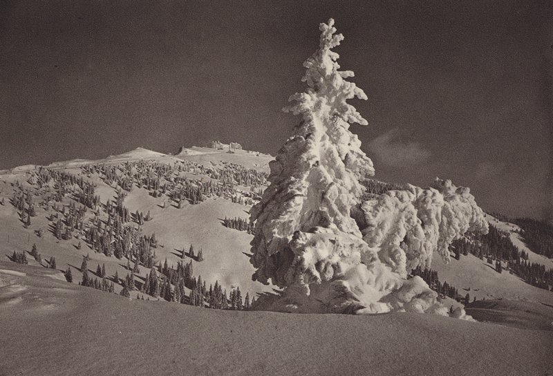 Rigi Kaltbad, Skigelande i Rigi Kulm (zdjęcie czarno-białe) autorstwa Jean Gaberell