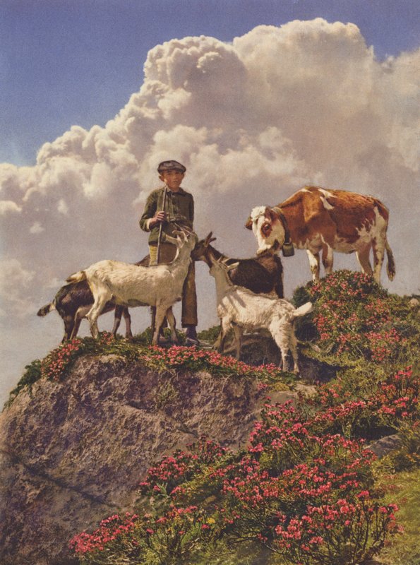 Szwajcaria: Good Friends (kolorowe zdjęcie) autorstwa Jean Gaberell