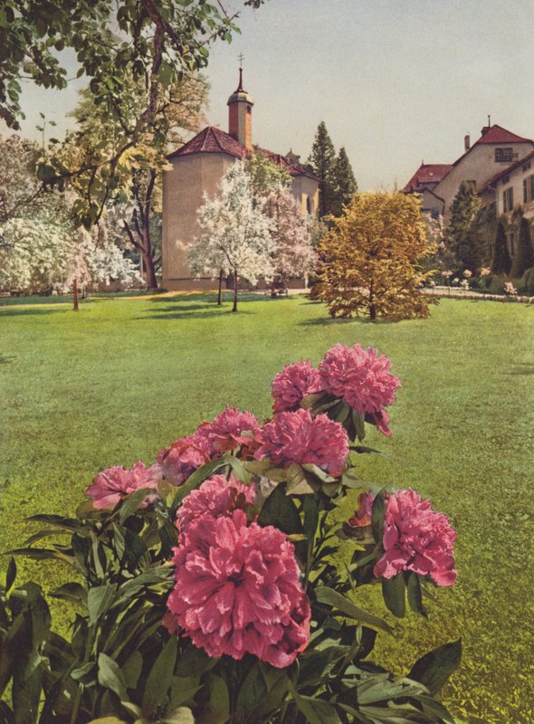 Szwajcaria: Mammern nad Jeziorem Bodeńskim, na terenie sanatorium (zdjęcie kolorowe) autorstwa Jean Gaberell