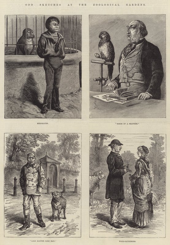 Dziwne szkice w ogrodach zoologicznych autorstwa Johann Nepomuk Schonberg