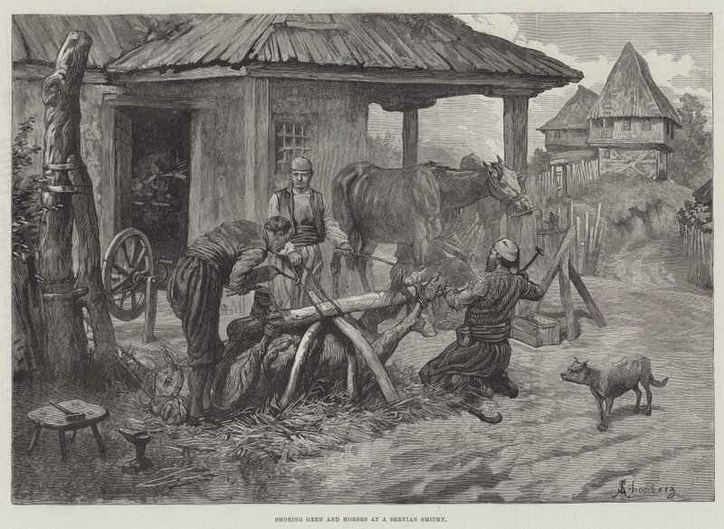 Podkuwanie wołów i koni w serwijskiej kuźni autorstwa Johann Nepomuk Schonberg
