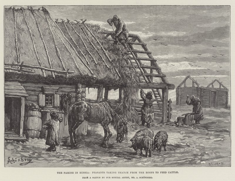 Głód w Rosji, Chłopi zabierający Strzechę z Dachów, by nakarmić Bydło autorstwa Johann Nepomuk Schonberg