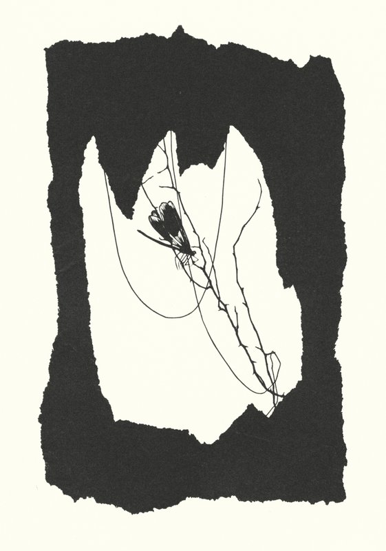 Sylwetka Johanny Beckmann (litografia) autorstwa Johanna Beckmann