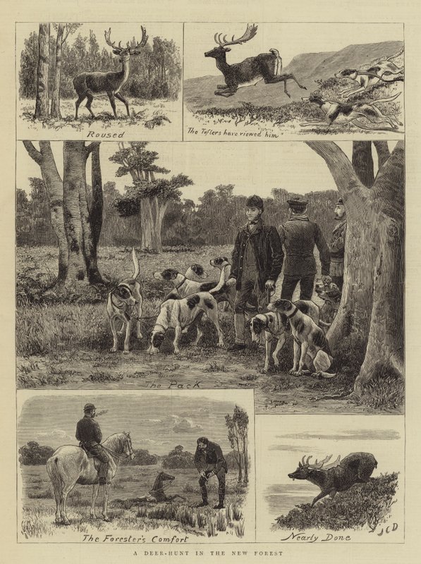 Polowanie na jelenie w New Forest autorstwa John Charles Dollman