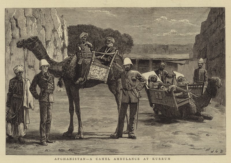 Afganistan, karetka wielbłądów w Kurrum autorstwa John Charles Dollman