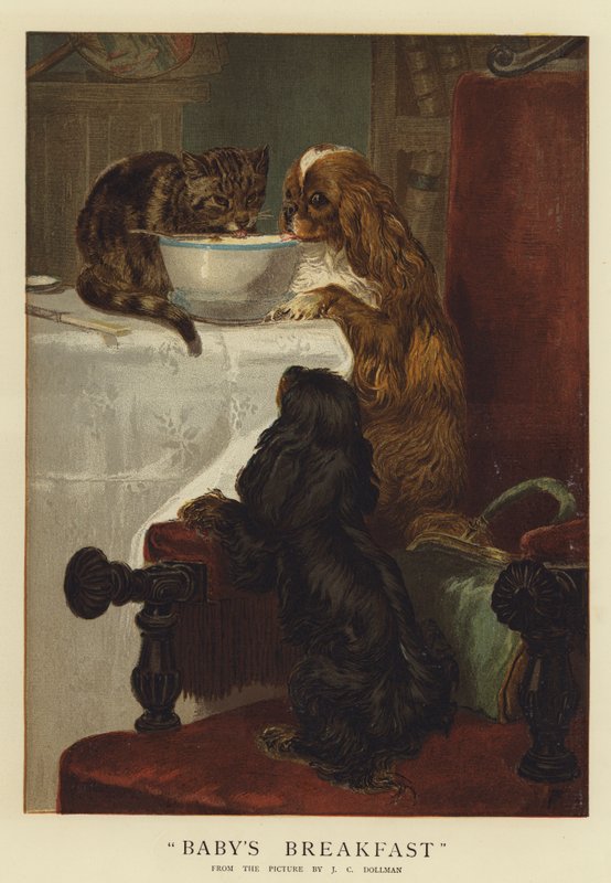 Śniadanie dla dziecka (chromolitho) autorstwa John Charles Dollman