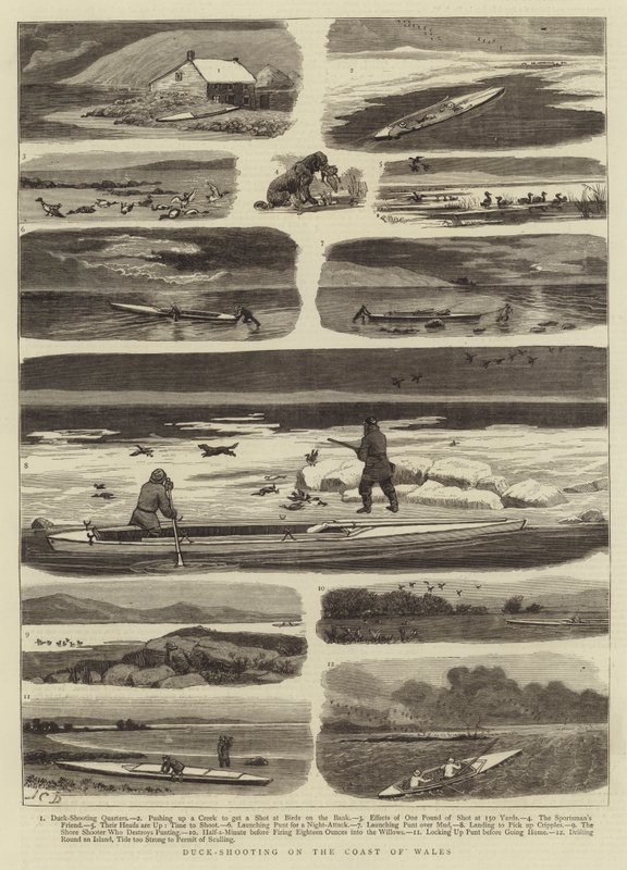 Strzelanie do kaczek na wybrzeżu Walii autorstwa John Charles Dollman