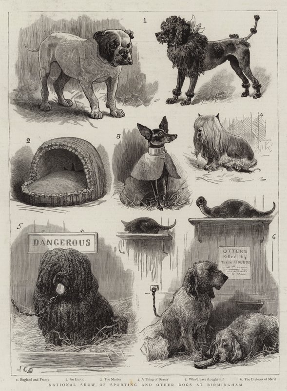 Krajowa Wystawa Psów Sportowych i innych w Birmingham autorstwa John Charles Dollman