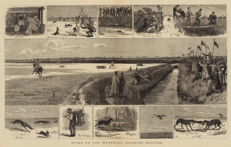 Notatki z Waterloo Coursing Meeting autorstwa John Charles Dollman