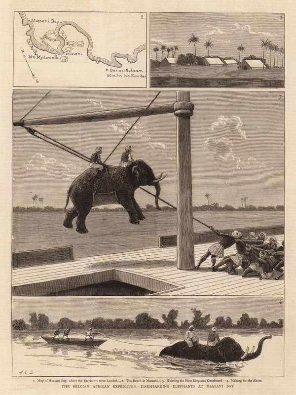 Belgijska wyprawa afrykańska, wysiadanie słoni w zatoce Msasani autorstwa John Charles Dollman
