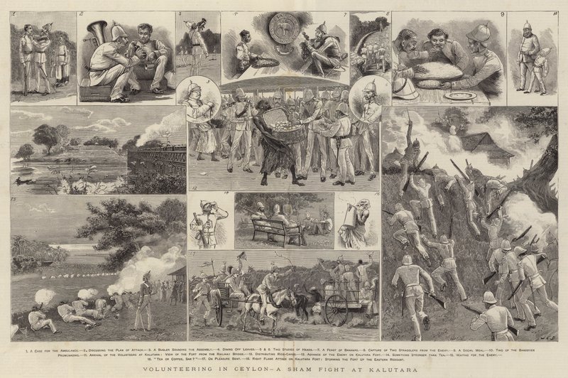 Wolontariat na Cejlonie, fikcyjna walka w Kalutara autorstwa John Charles Dollman
