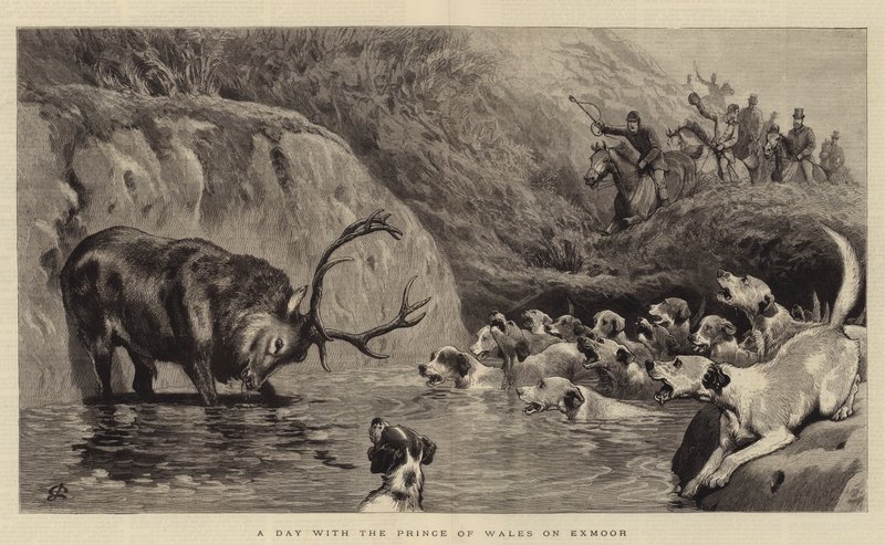 Dzień z księciem Walii na Exmoor autorstwa John Charlton
