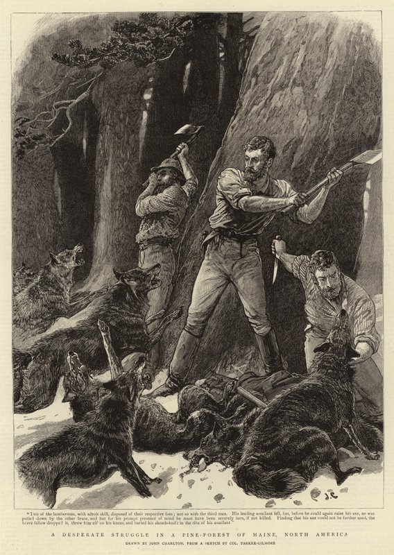 Desperacka walka w sosnowym lesie w stanie Maine w Ameryce Północnej autorstwa John Charlton