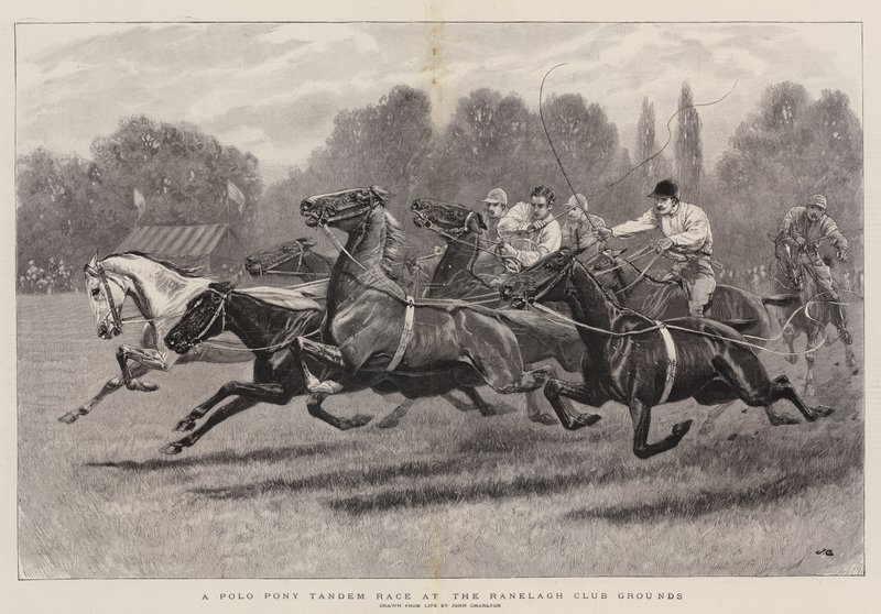 Wyścig tandemowy kucyków polo w Ranelagh Club Grounds autorstwa John Charlton