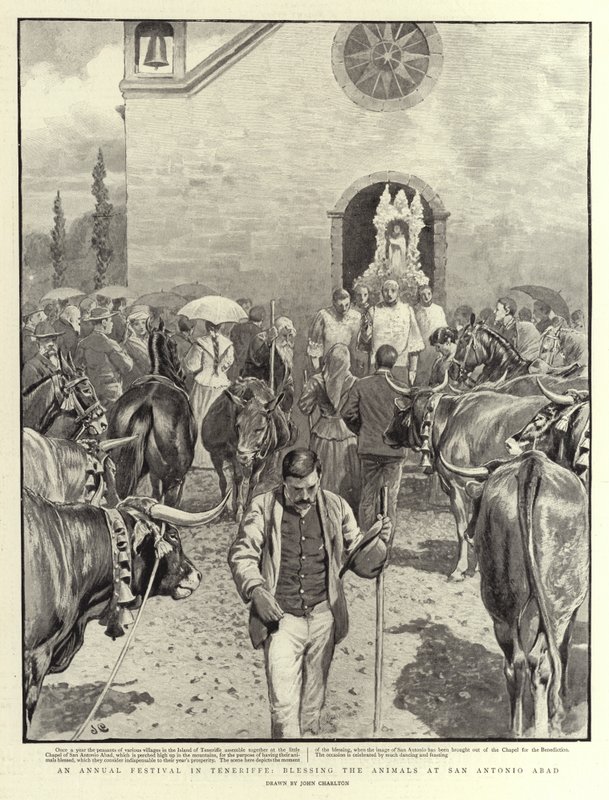 Coroczny festiwal na Teneryfie, błogosławiący zwierzęta w San Antonio Abad autorstwa John Charlton