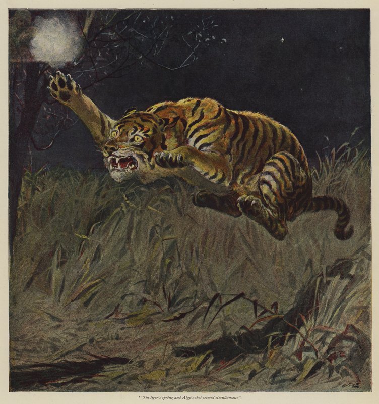 Ilustracja do oferty z wolnej woli — BM Corker autorstwa John Charlton