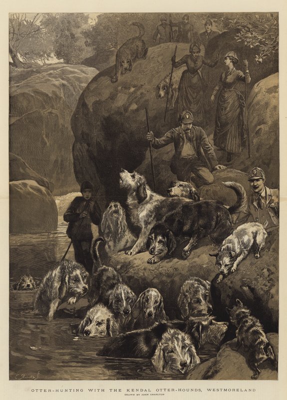 Polowanie na wydry z Kendal Otter-Hounds, Westmoreland autorstwa John Charlton
