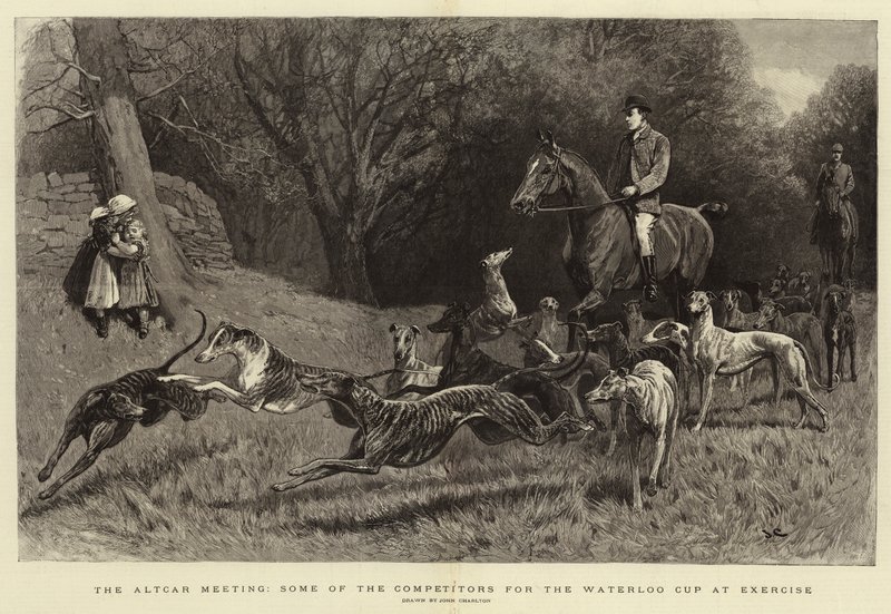 Spotkanie Altcar, niektórzy Zawodnicy o Puchar Waterloo na ćwiczeniach autorstwa John Charlton
