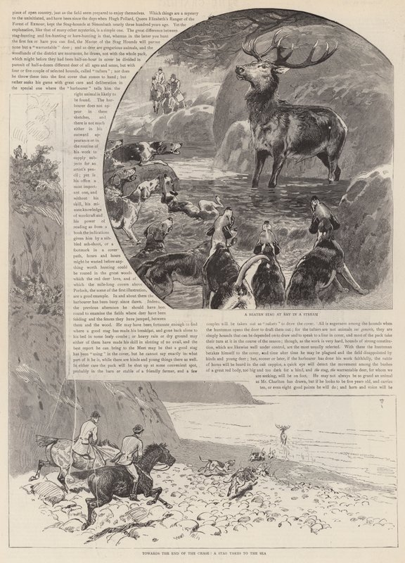 Pogoń za dzikim jeleniem na Exmoor autorstwa John Charlton