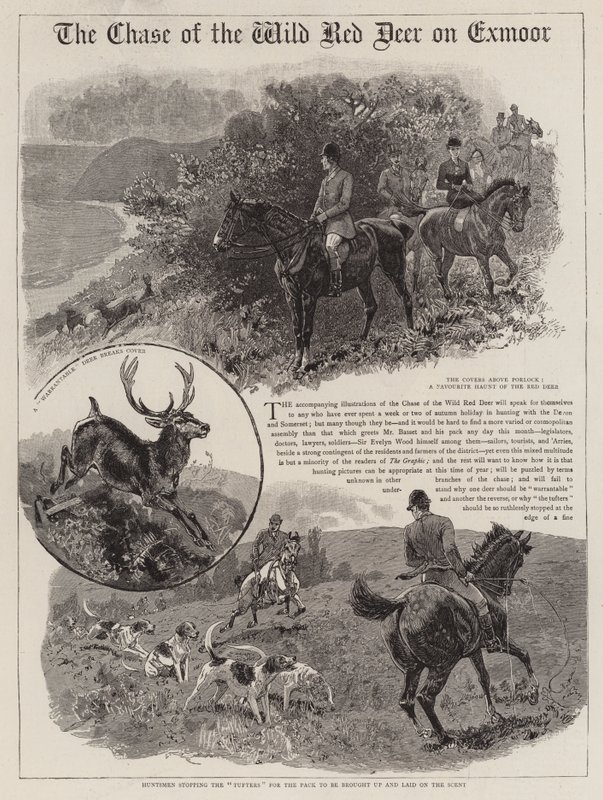 Pogoń za dzikim jeleniem na Exmoor autorstwa John Charlton