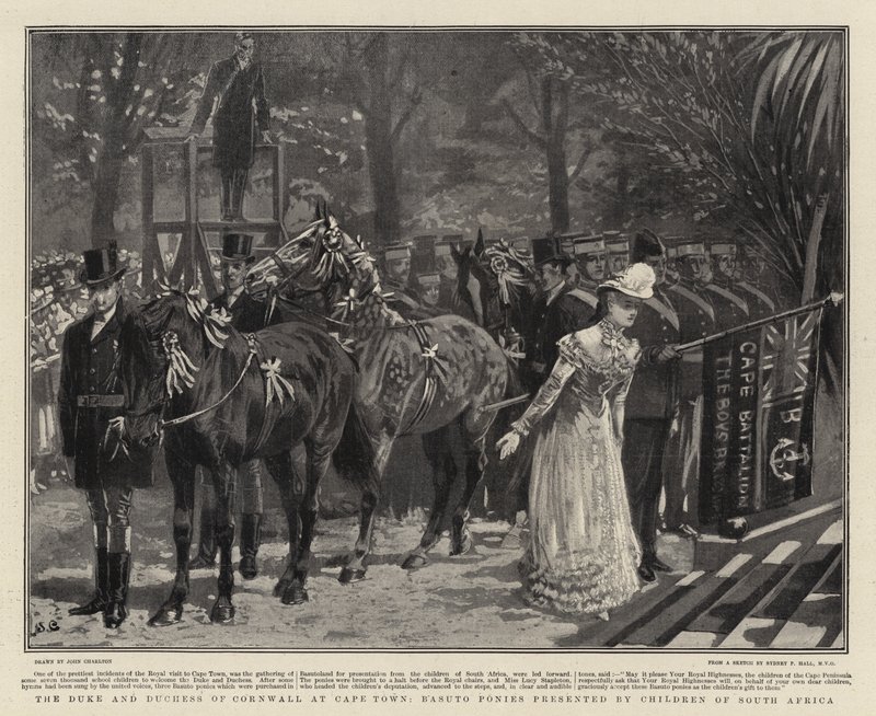 Książę i księżna Kornwalii w Cape Town, Basuto Ponies przedstawione przez Children of South Africa autorstwa John Charlton