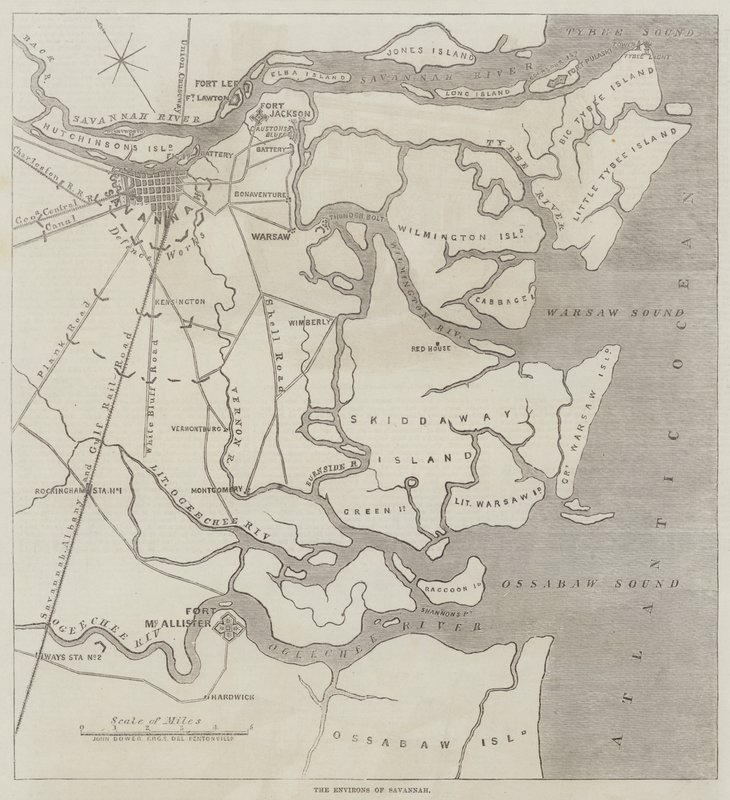 Okolice Savannah autorstwa John Dower
