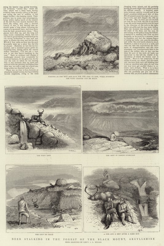 Podchody jeleni w Lesie Czarnej Góry, Argyllshire autorstwa John Guille Millais