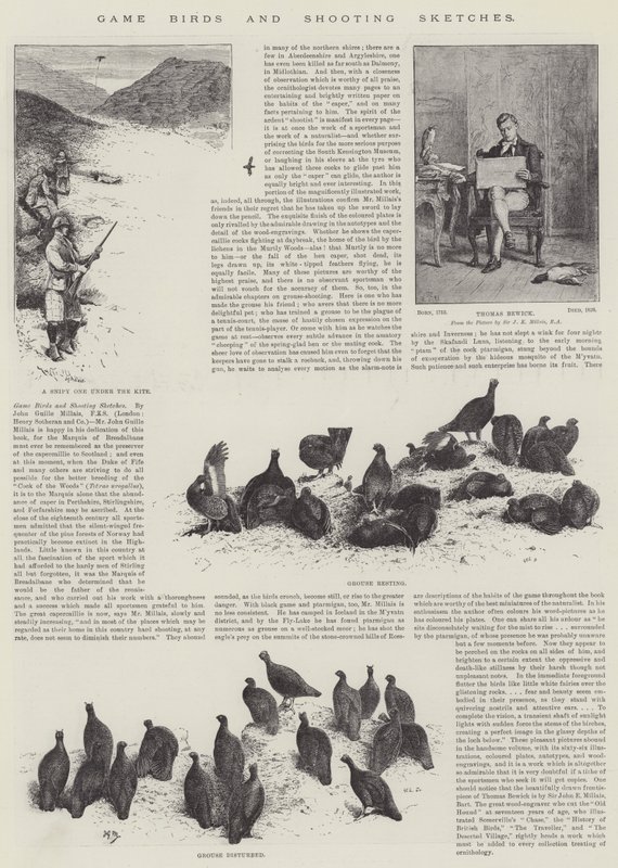Ptaki łowne i szkice strzeleckie autorstwa John Guille Millais