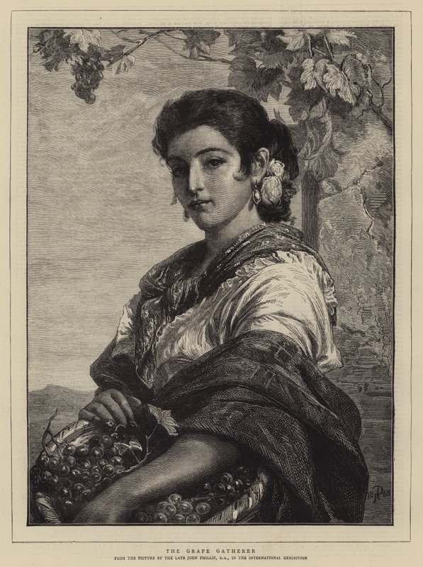 Zbieracz winogron autorstwa John Phillip