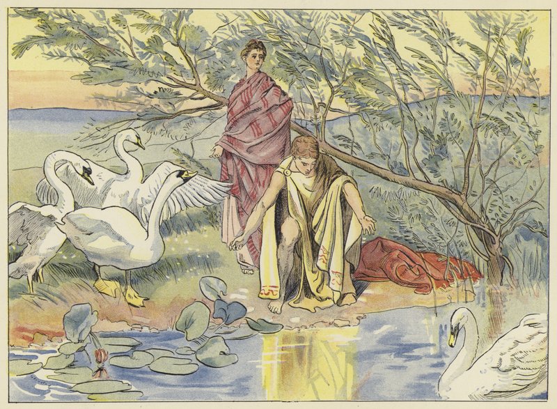Narcissus autorstwa John Shenton Eland