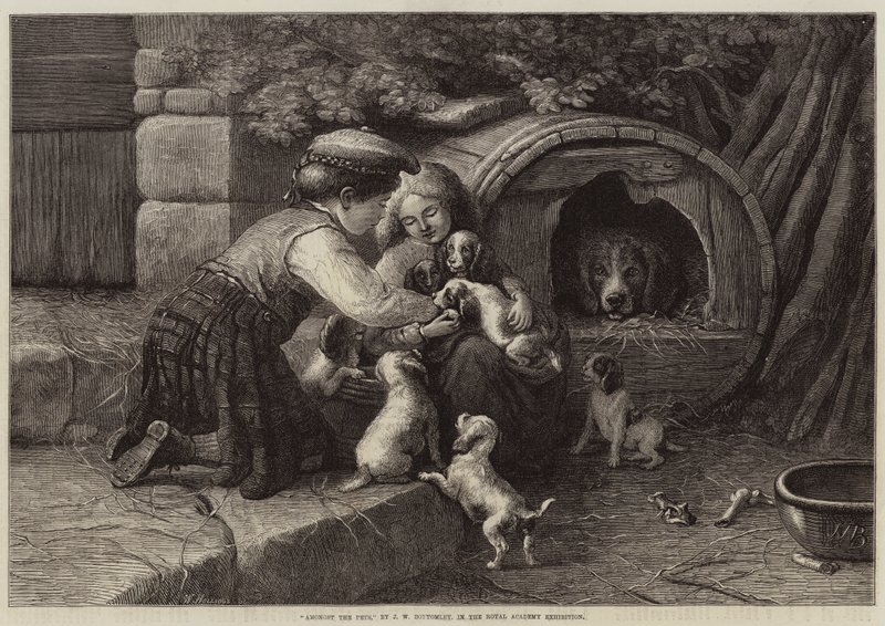 Wśród zwierząt domowych autorstwa John William Bottomley