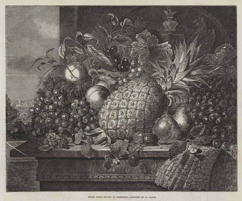 Nagroda Owoce uprawiane w Blenheim autorstwa John Wykeham Archer