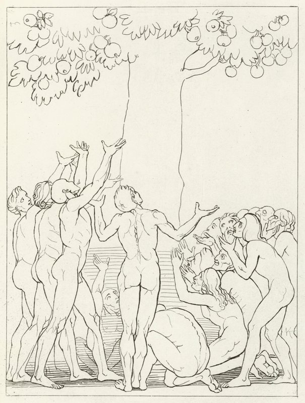 Nieumiarkowany, czyściec, Canto 24 (rycina) autorstwa John (after) Flaxman