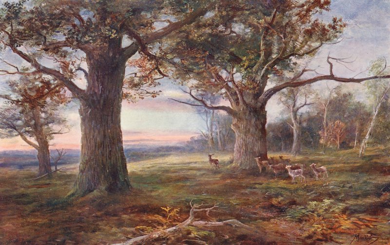 Na skraju lasu Sherwood (kolorowa litografia) autorstwa John (after) MacWhirter
