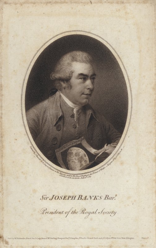 Sir Joseph Banks, angielski przyrodnik, botanik i prezes Royal Society (grafika) autorstwa John (after) Russell